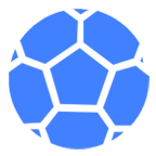 澳南部女联logo
